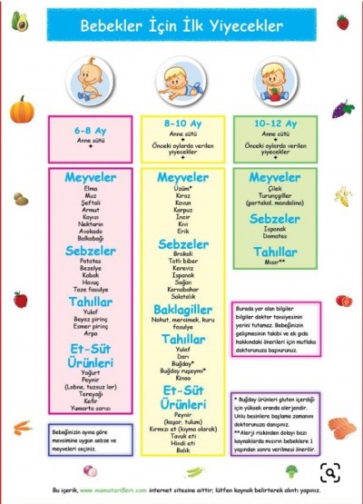 ek gidaya nasil baslamaliyim 3 6 ay arasi bebekler